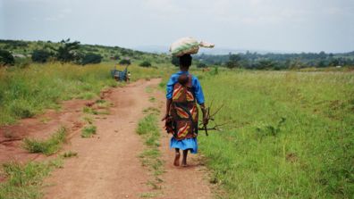 Building Climate-Resilient Food Systems In Africa | Global Agriculture ...